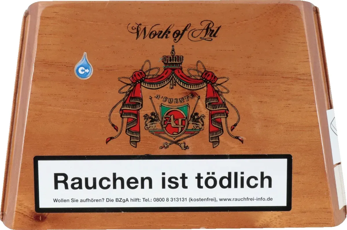 Arturo Fuente Work of Art Box geschlossen