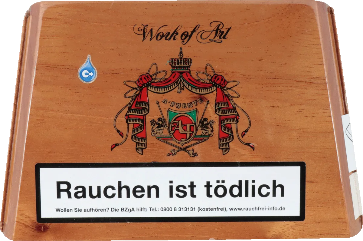 Arturo Fuente Work of Art Box geschlossen