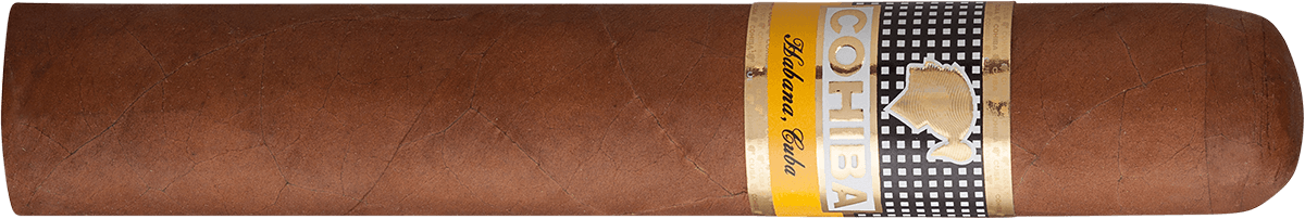 Cohiba Robustos - Zigarre waagerecht
