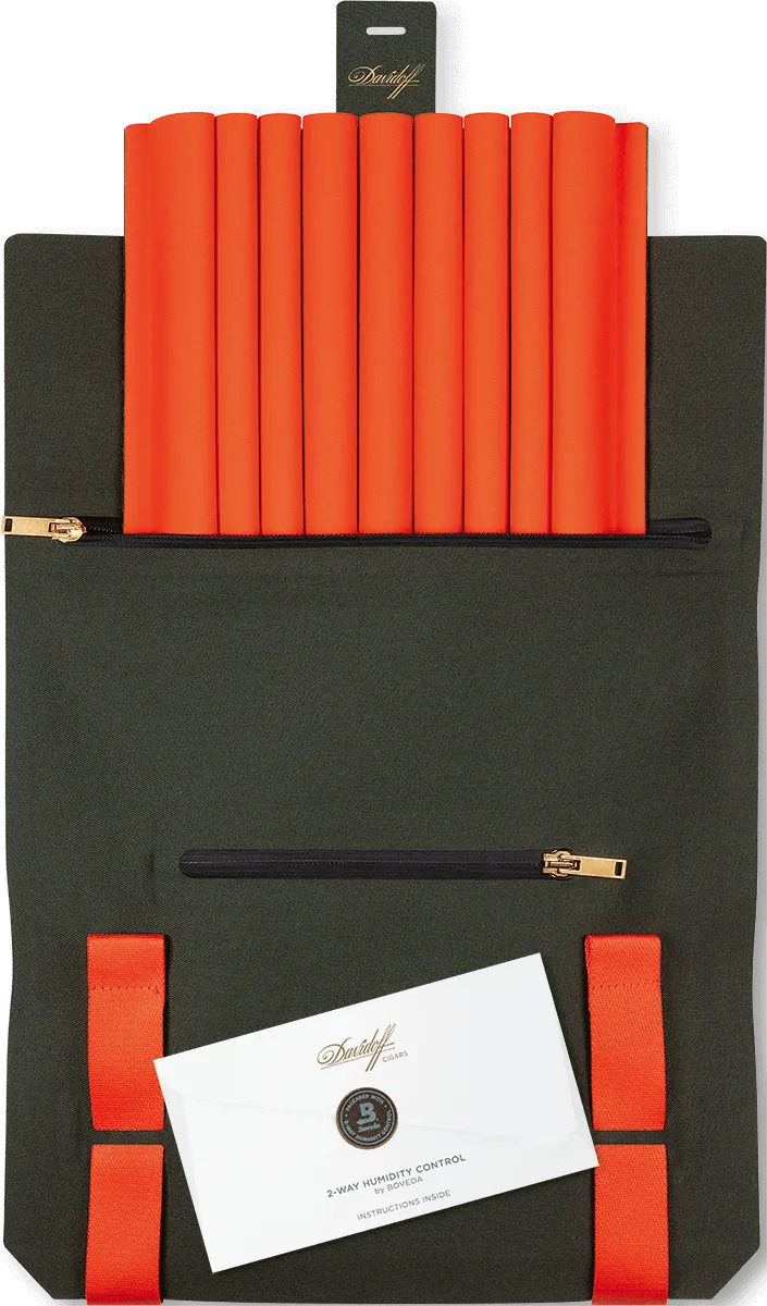 Davidoff Travel Humidor offen leer
