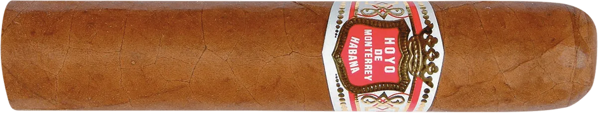 Hoyo Petit Robusto EInzelzigarre