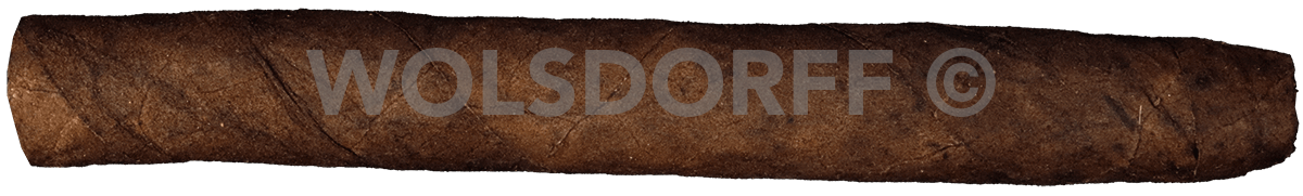 Die WOLSDORFF Cordial Brasil - Zigarre waagerecht