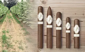 Die Davidoff Story Teil 4: Davidoff Aniversario